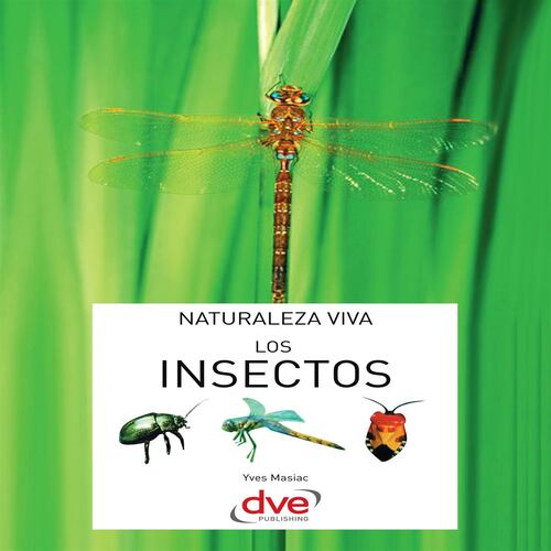 Los insectos