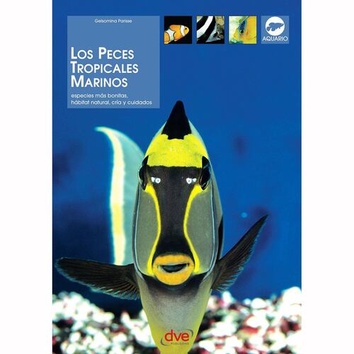 Los peces tropicales marinos