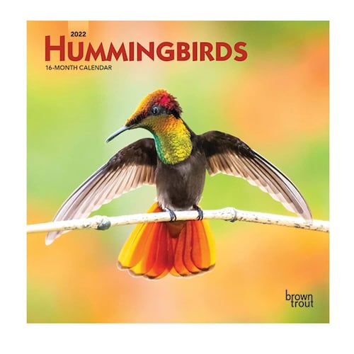 Calendario 2022 Hummingbirds Mini