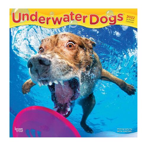 Calendario 2022 Underwater Dogs Square