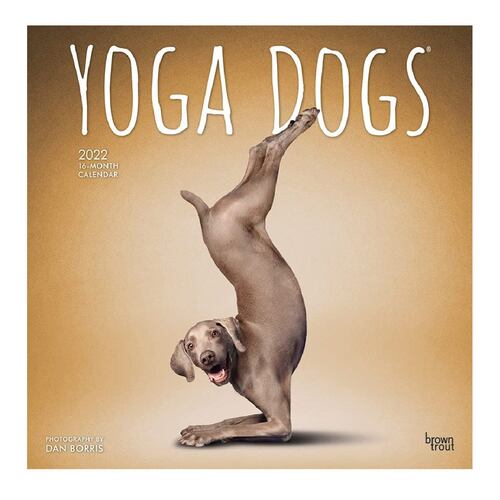 Calendario 2022 Yoga Dogs Square