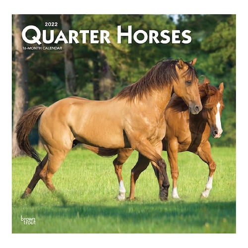 Calendario 2022 Quarter Horses Square