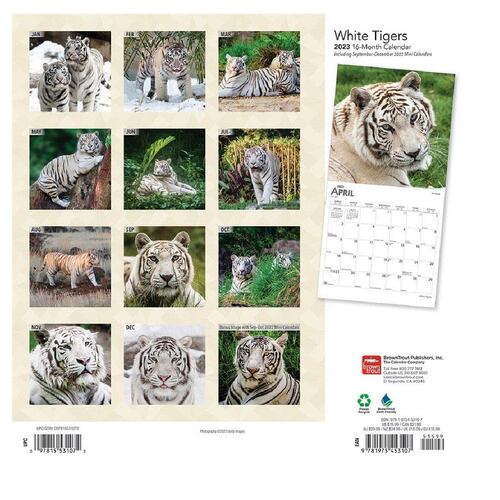 2023 White Tigers Square Calendario