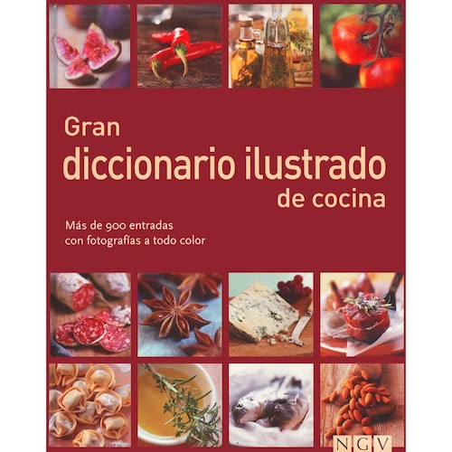 Gran Diccionario de Cocina Ilustrado