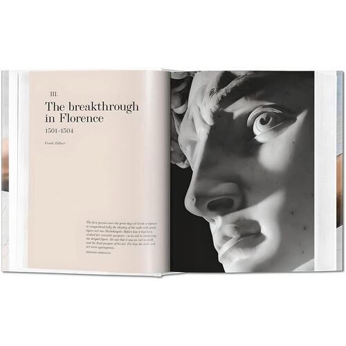 Michelangelo. The Complete Paintings, Sculptures and Architecture