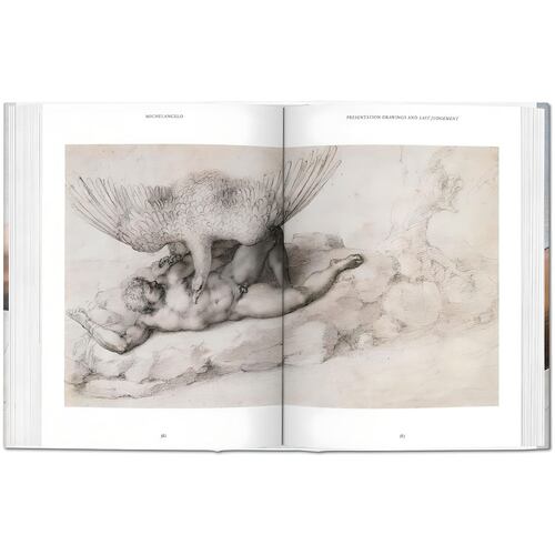 Michelangelo. The Complete Paintings, Sculptures and Architecture