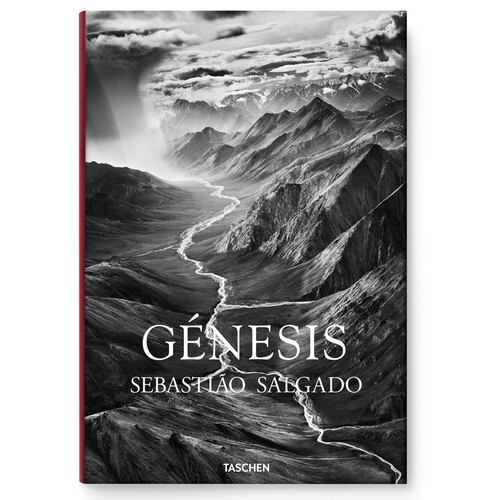 Genesis Sebastiao Salgado