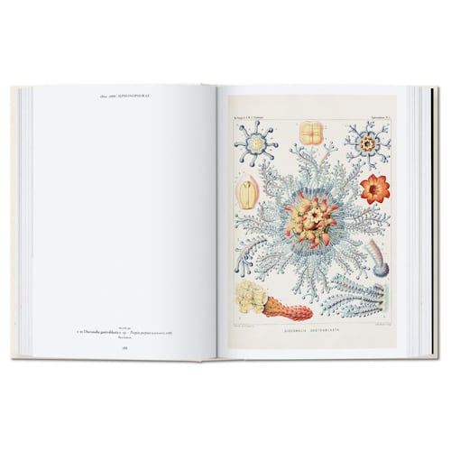 The Art and Science of Ernst Haeckel. 40th Anniversary Edition