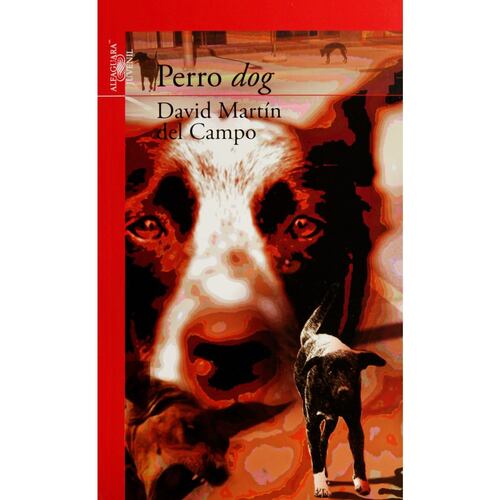 Perro Dog