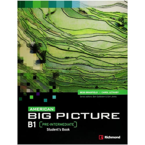 American Big Picture B1 Student´S Book