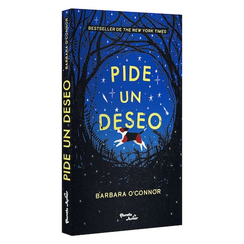 Pide un deseo