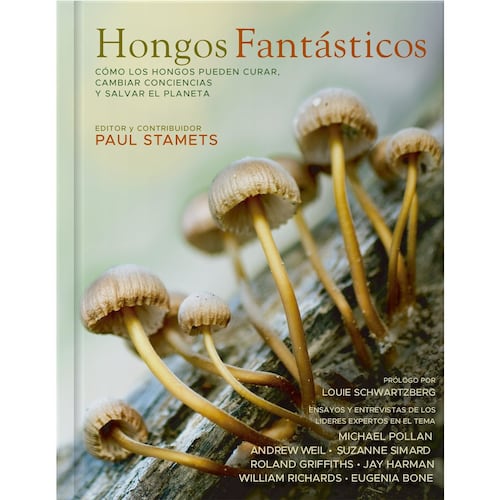 Hongos Fantásticos