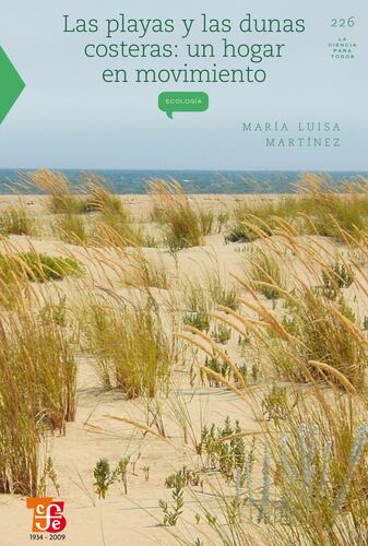 Las playas y dunas costeras