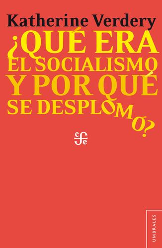 ¿Qué fue el socialismo y por qué se desplomó?