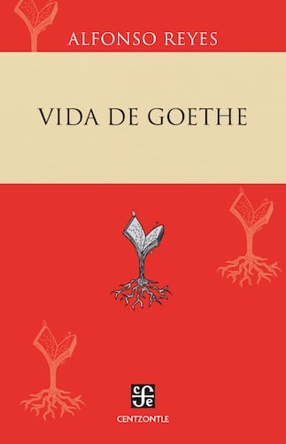 Vida de Goethe