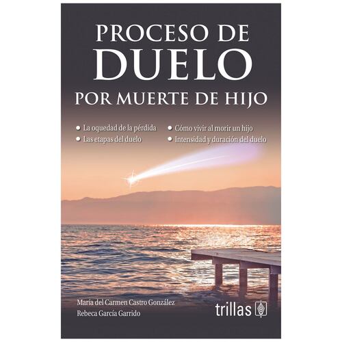 Proceso De Duelo Por Muerte De Hijo