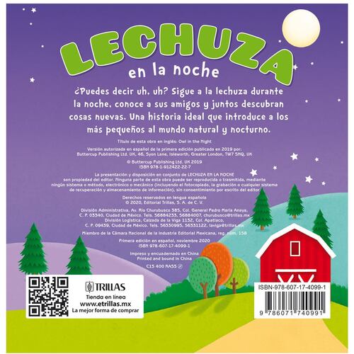 Lechuza En La Noche