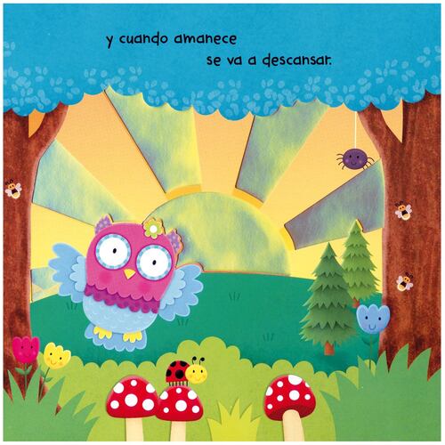 Lechuza En La Noche