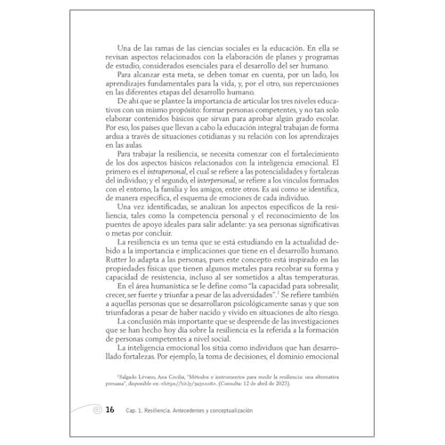 Resiliencia En Niños Y Adolescentes