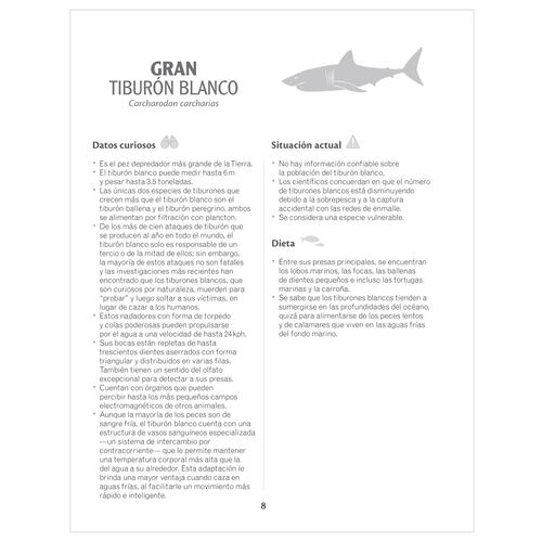 Tiburones y Mantarrayas