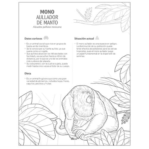Animales de América