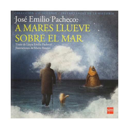 José Emilio Pacheco: A Mares Llueve Sobre El Mar