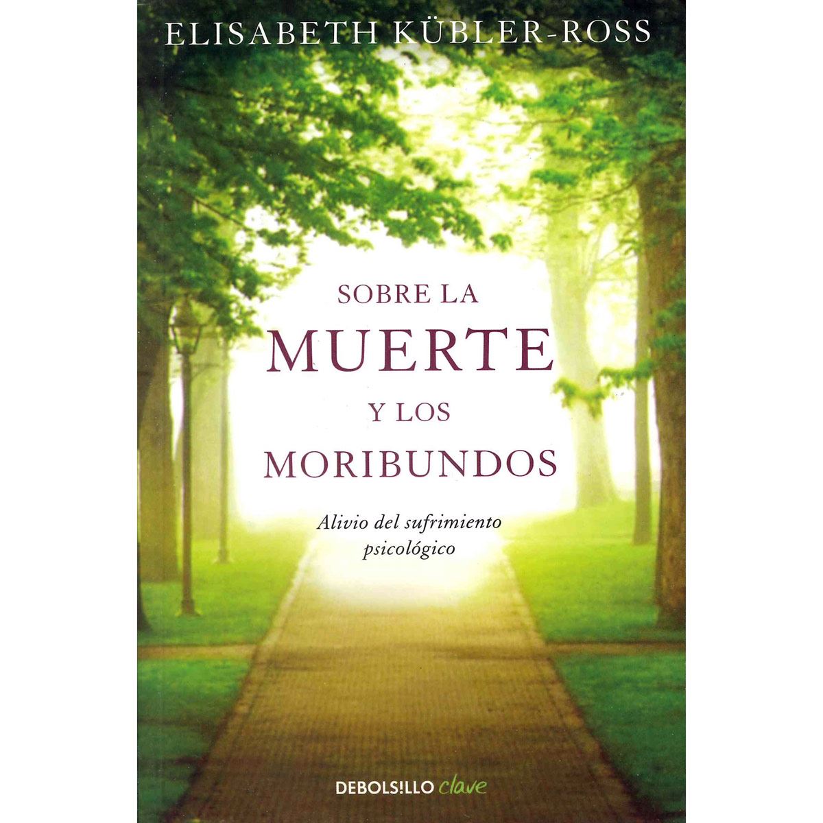 Sobre La Muerte Y Los Moribundos