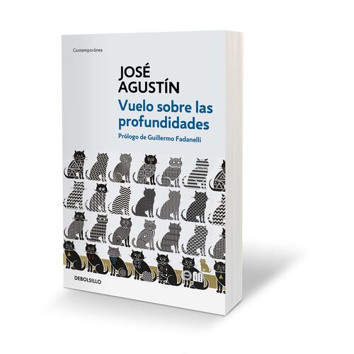 Vuelo sobre las profundidades