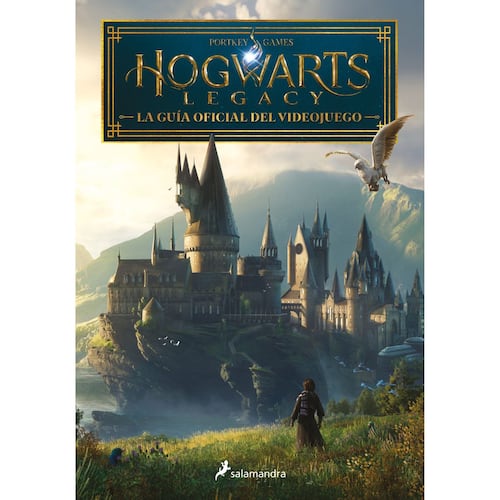 Hogwarts Legacy