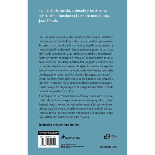 El cerebro masculino