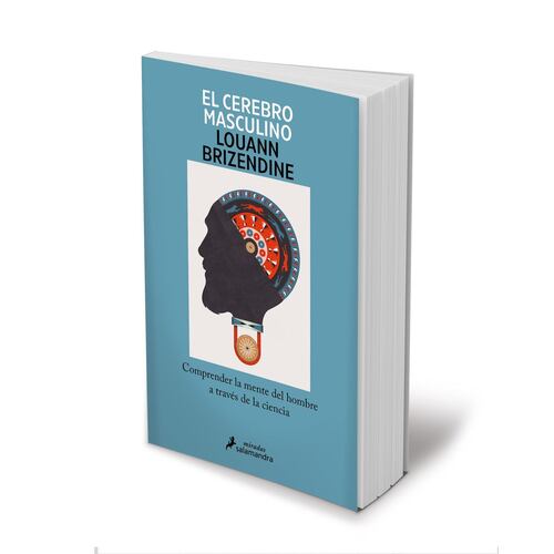 El cerebro masculino