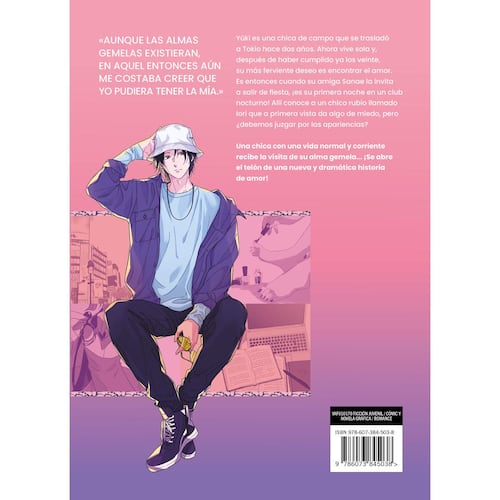Manga Una Historia De Almas Gemelas 1 Bimestral