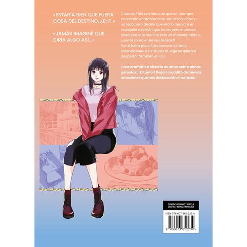 Manga Una Historia de Almas Gemelas 3