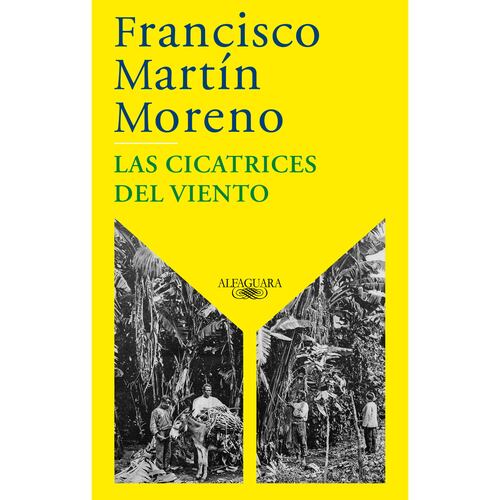 Las cicatrices del viento