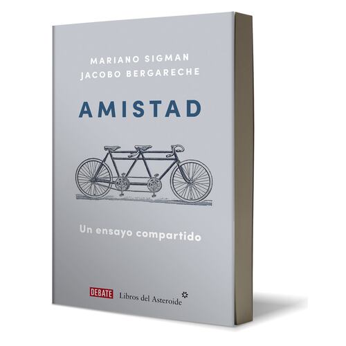 Amistad Un ensayo compartido