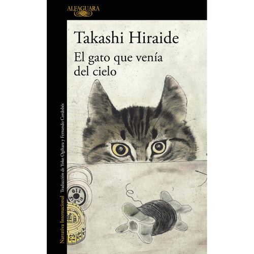 El gato que venía del cielo