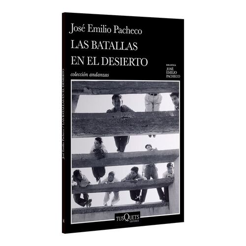 Las batallas en el desierto