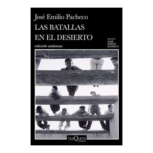Las batallas en el desierto