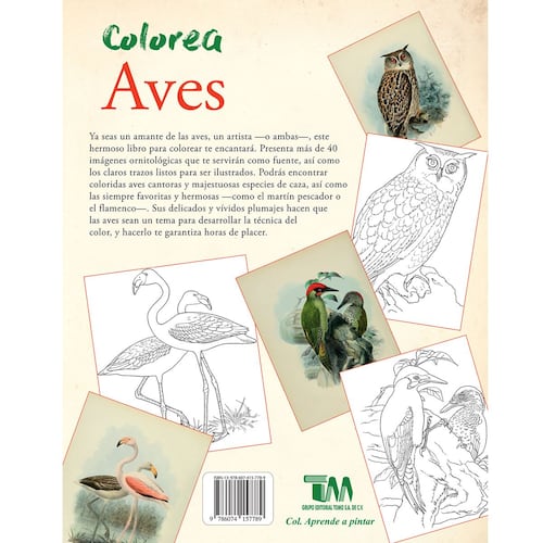 Colorea Aves