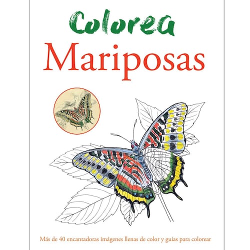 Colorea Mariposas
