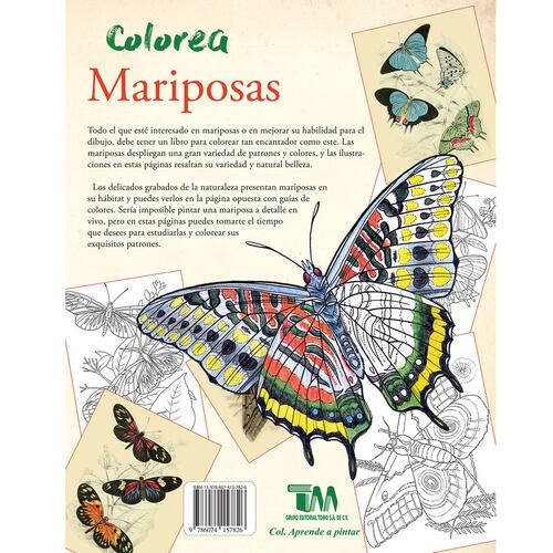 Colorea Mariposas