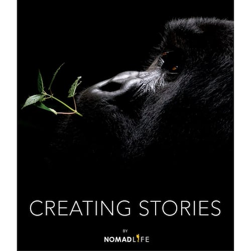 Creating Stories