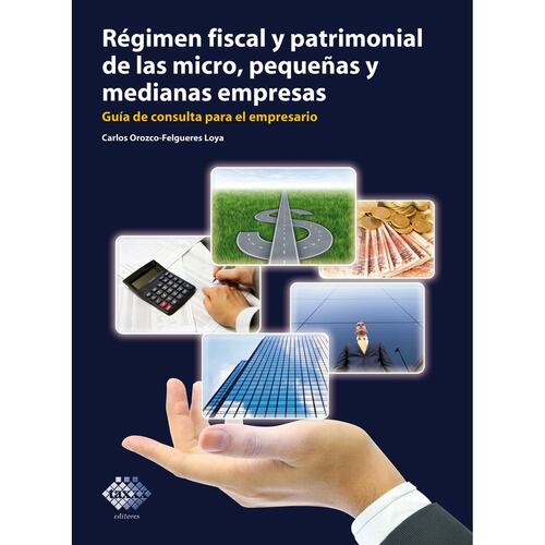 Régimen fiscal y patrimonial de las micro, pequeñas y medianas empresas. Guía de consulta para el empresario