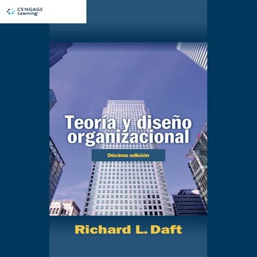 Teoría y diseño organizacional