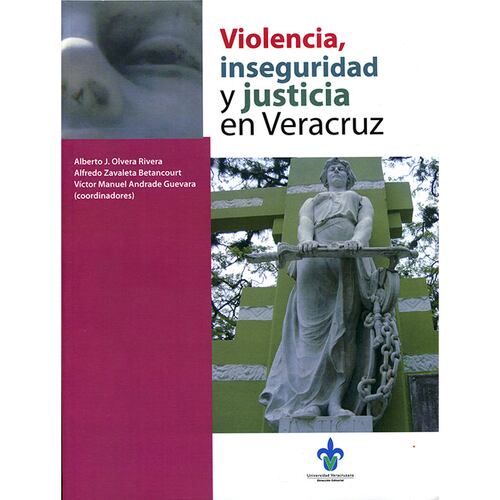 Violencia, inseguridad y justicia en Veracruz