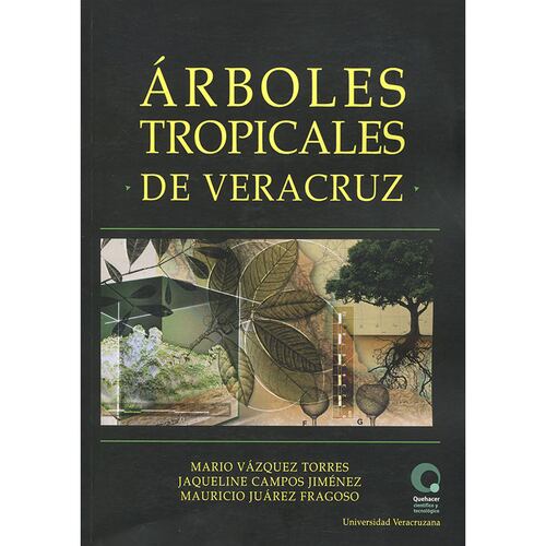 Árboles tropicales de Veracruz
