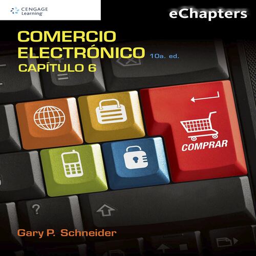 Comercio Electrónico. Capítulo 6