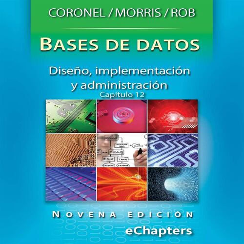 Bases de datos, diseño, implementación y administración. Capítulo 12