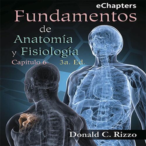 Fundamentos de Anatomía y Fisiología. Capítulo 6
