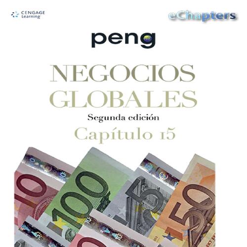 Negocios Globales. Capítulo 15